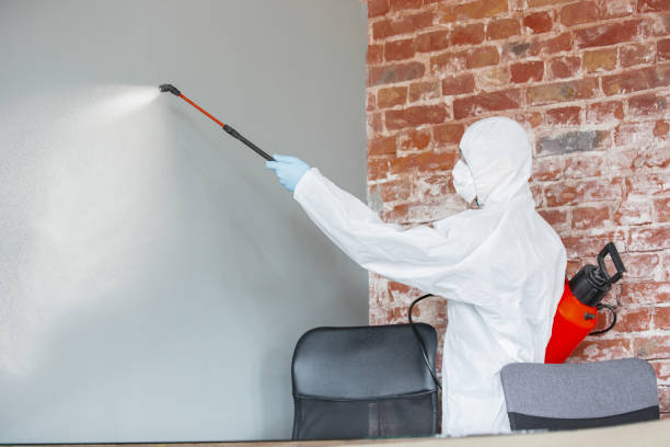 Best Mold Remediation for Healthcare Facilities  in Olympia Heights, FL