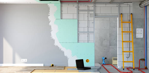 Professional Mold Removal in Olympia Heights, FL